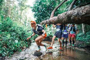 BIB: 
                            <button type="button" onclick="openModal(25371954)" class="btn btn-primary btn-sm float-right btn-popup" data-toggle="modal" data-target=".modal-high-quality">
                        <i class="fas fa-shopping-cart"></i> Add to Cart
                    </button>
                                            <button type="button" onclick="isThisMe(25371954, true)" class="btn btn-success btn-sm float-right btn-popup btn-isme hidden" data-toggle="tooltip" data-placement="bottom" title="นี่คือรูปของคุณใช่ไหม คลิกที่นี่เพื่อเอาเข้าอัลบั้ม">
                        <i class="fas fa-plus"></i> Add to album
                    </button>
                    <button type="button" onclick="isThisMe(25371954, false)" class="btn btn-warning btn-sm float-right btn-popup btn-isnotme hidden">
                        <i class="fas fa-ban"></i> Remove from album
                    </button>